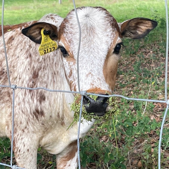 Meet your Posher, Victoria - Picture 16 of 16